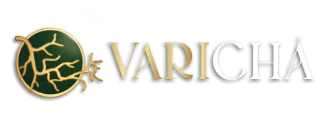 logo-varicha-section-01